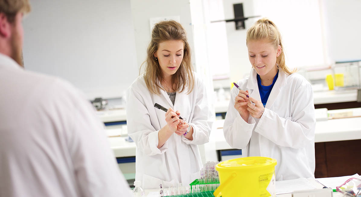 Students working in the food lab